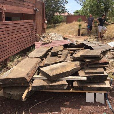 Poi board blanks - 150 year old mango tree