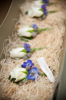 Groomsmen's Boutonnieres
 
 (Photo by Bonnie J. Heath)