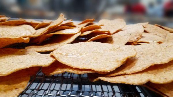 Fresh tostadas ready for packing!