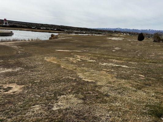 Fairways taken over by milkweed and goat heads