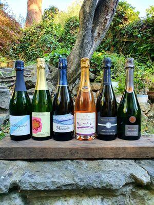 Sparkling Wine 6pk