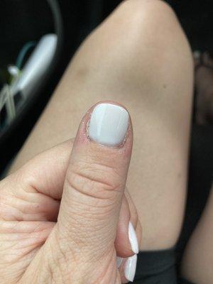 What I got-- funny bunny dip, not at all see through and poorly done cuticle/edges