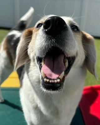 Enzo enjoying daycare two weeks after leaving the hospital 3