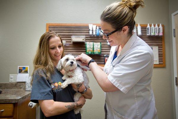 Dr. H. checking out a little patient!