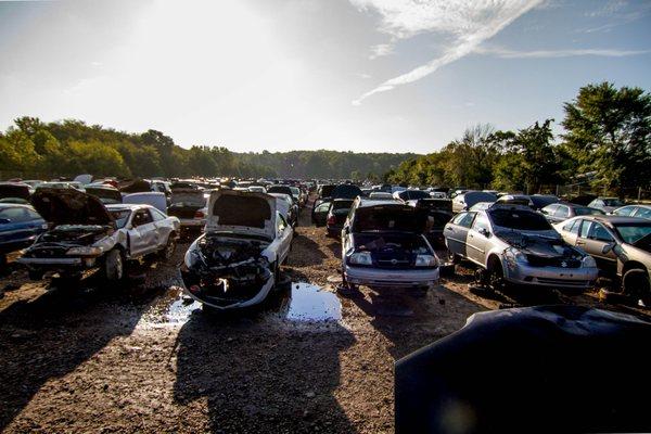 Circle Auto Recycling field.