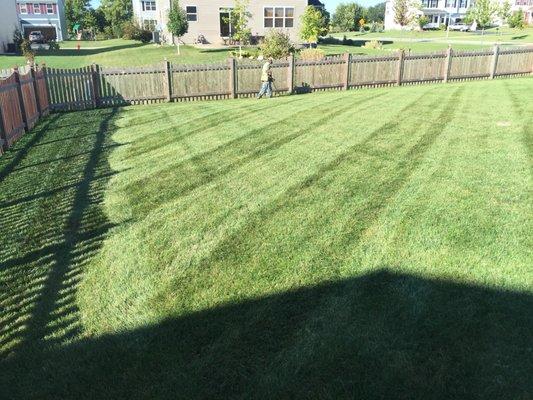 Residential mowing