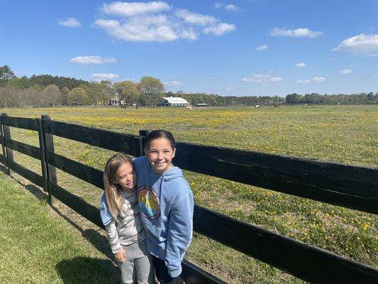 Horse paddock with buttercups and my Kids enjoying