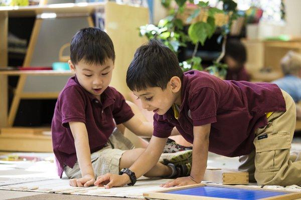 Students in the Primary Program range from ages 3-6 and often work together on lessons. The lesson here is the math 100 board.