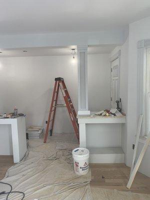 Somerville Apartment Renovation