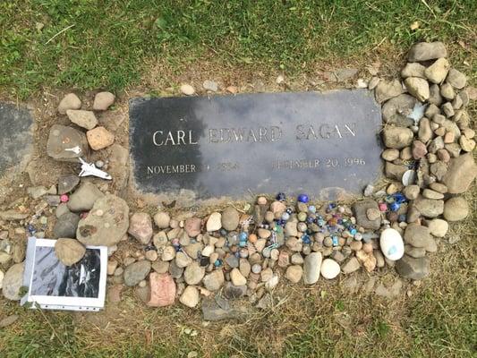 Carl Sagan's Stone w/ Many Blue Marbles & Paperclips