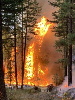 Our time with the forest service.