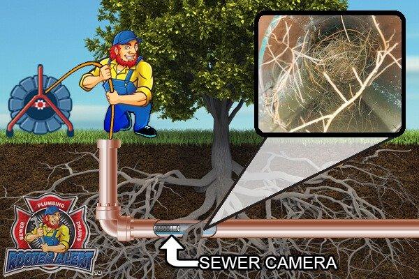 Rooter Alert Plumbing Sewer Drains