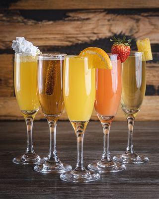 Mimosa line up