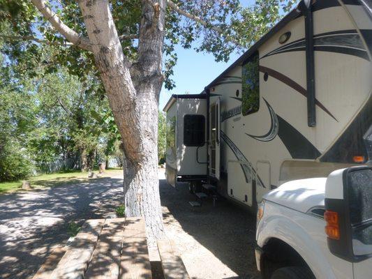 Another view of the tree and the distance to my trailer