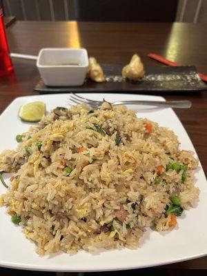 Basil Beef Fried Rice and Fried Gyoza.