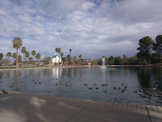 Beautiful duck pond , great for a sunny day of relaxing