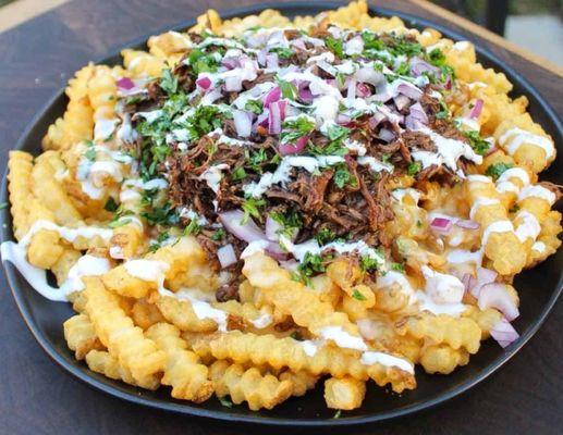 Birria or Asada fries