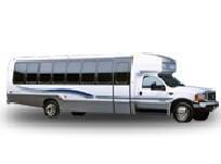 Mini-Buses & VIP Buses