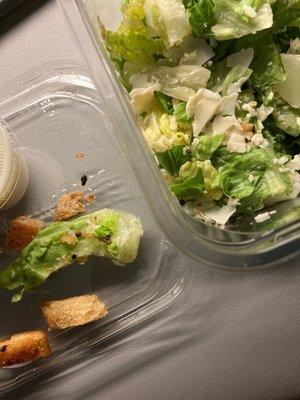 Poop/droppings in salad