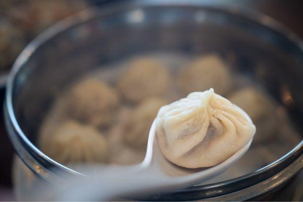 Juicy Pork Dumplings