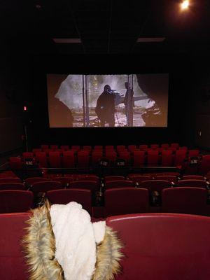 Entire theater to ourselves!