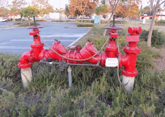 Large backflow repairs