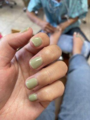 Gel Manicure 150- sage green