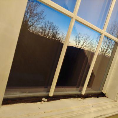 Pella window rot