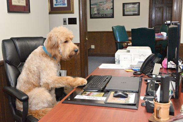 Macklin covering the office while the boss is gone.