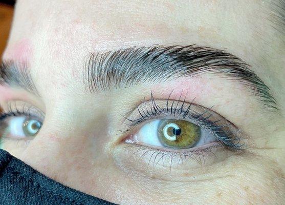 Precision Eyebrow Lift - Lamination by Nicole Zillitto