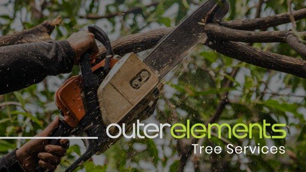 PayLess Tree Service