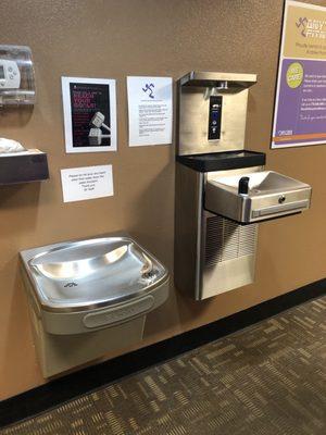 Water fountain and new (2023) water bottle filler