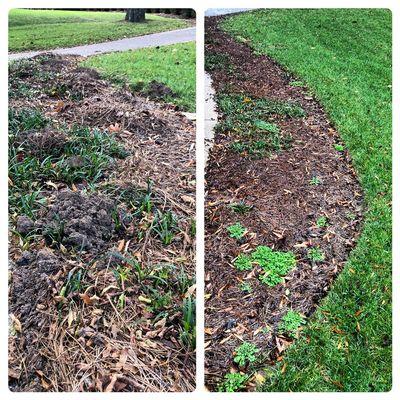 Before and after of removing moles.