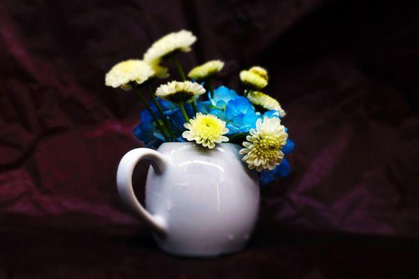 Flowers, Naturally! - white buttons and blue hydrangeas, a custom mini floral design (in the customer-supplied teapot).