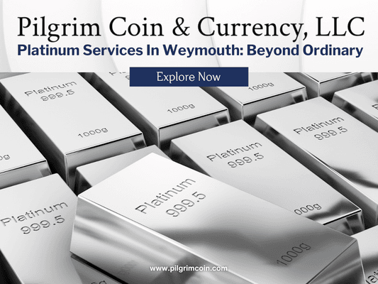 2_Pilgrim Coin _ Currency, LLC_Platinum Services in Weymouth_ Beyond Ordinary.png