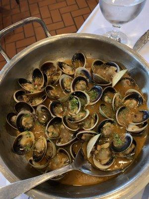 Manilla Clams in Garlic Sauce