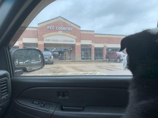 My dog and the front of the building