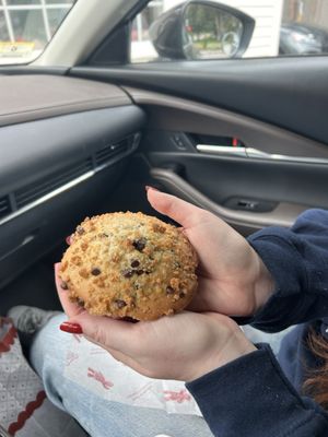 Chocolate chip muffin