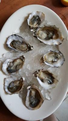 W & T Oysters