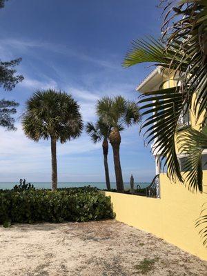 Ocean view from the back yard area