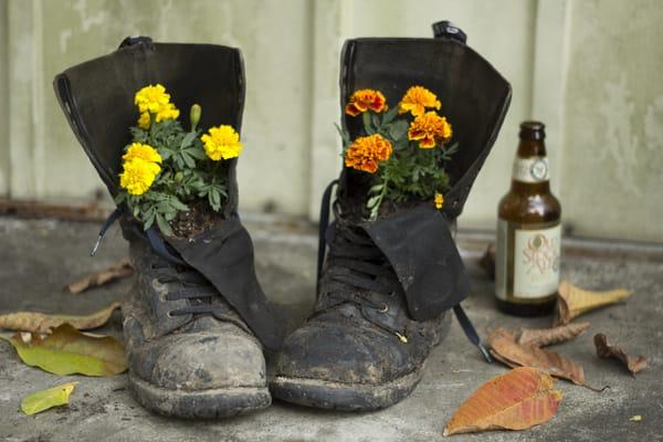 Boot Flowers