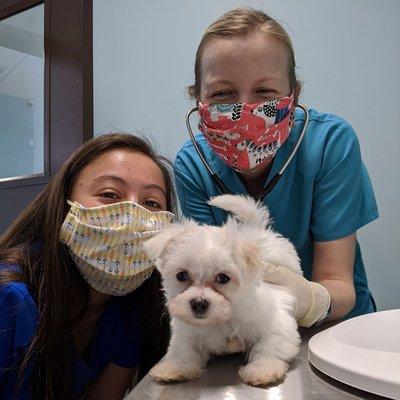 Dr. Sasha and puppy