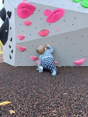 Little kid climbing wall.