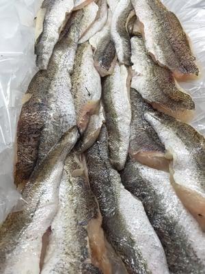 Fresh Whiting