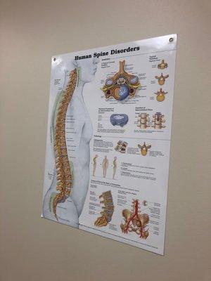 The Spine Center here is awesome!