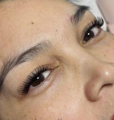 Hybrid EyeLash Extension |