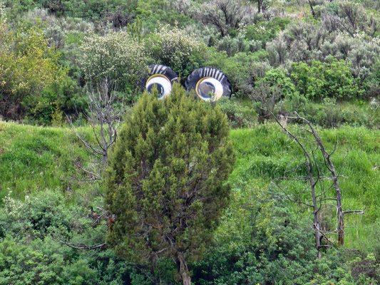 The hills have eyes... hiking trails made fun!