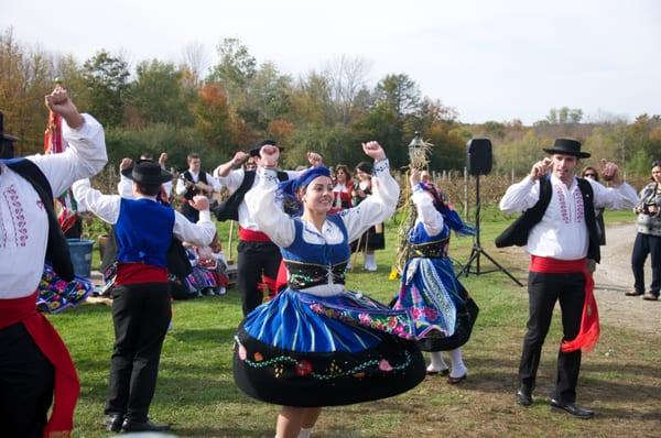 Portuguese Folk group at Miranda Vineyard Festival.