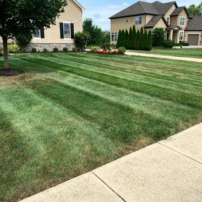 #lawncare #powellohio