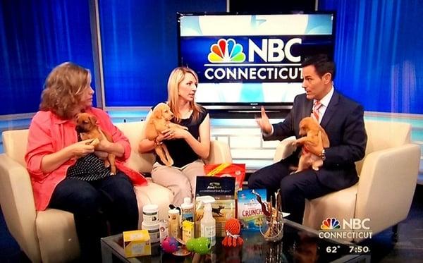 Be sure to watch our monthly segment "Ask the Dogologist" on NBC Connecticut!